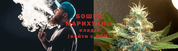 шишки Баксан