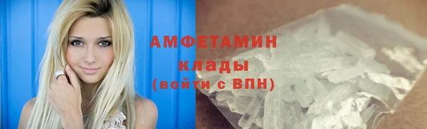 PSILOCYBIN Балахна