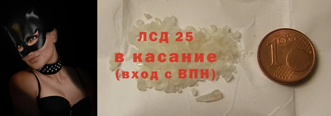 шишки Баксан