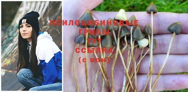 PSILOCYBIN Балахна
