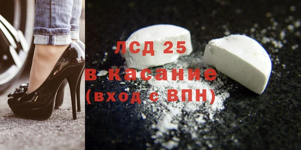 шишки Баксан