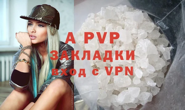 шишки Баксан