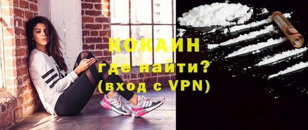 шишки Баксан