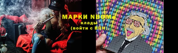 PSILOCYBIN Балахна