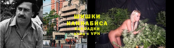 PSILOCYBIN Балахна