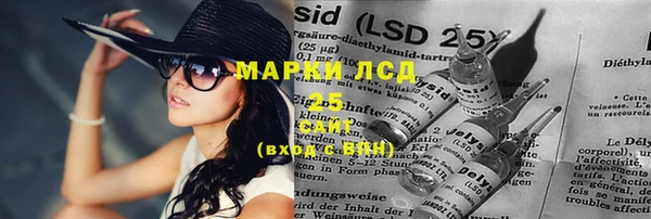 шишки Баксан